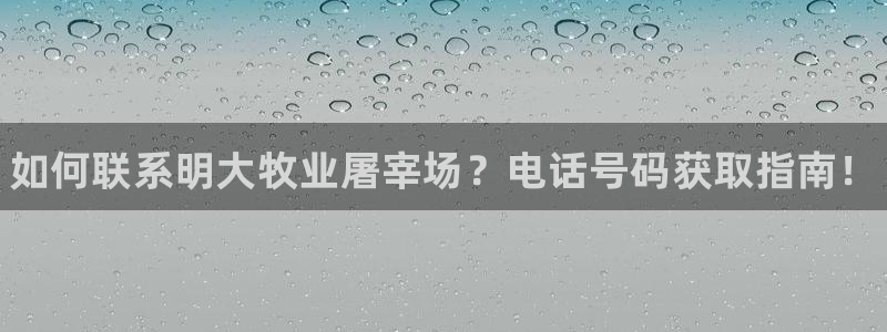 江西乐虎游网络科技有限公司怎么样华策影视